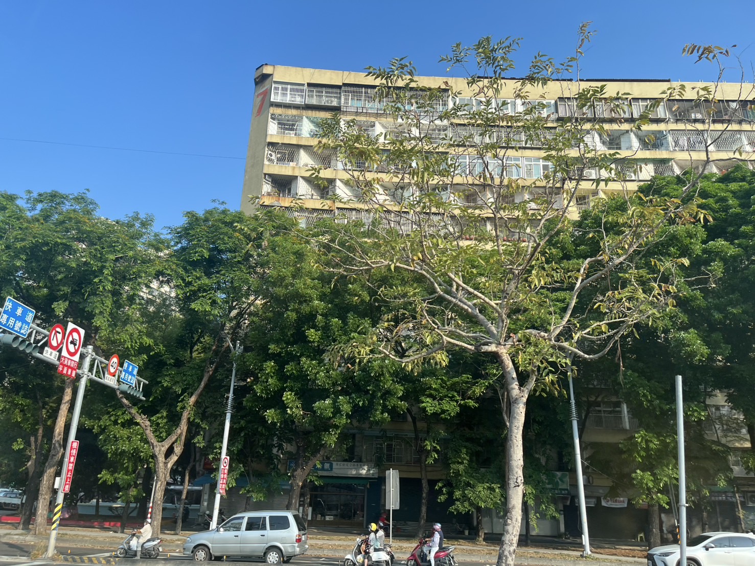 澄清湖周辺の緑地と街並み