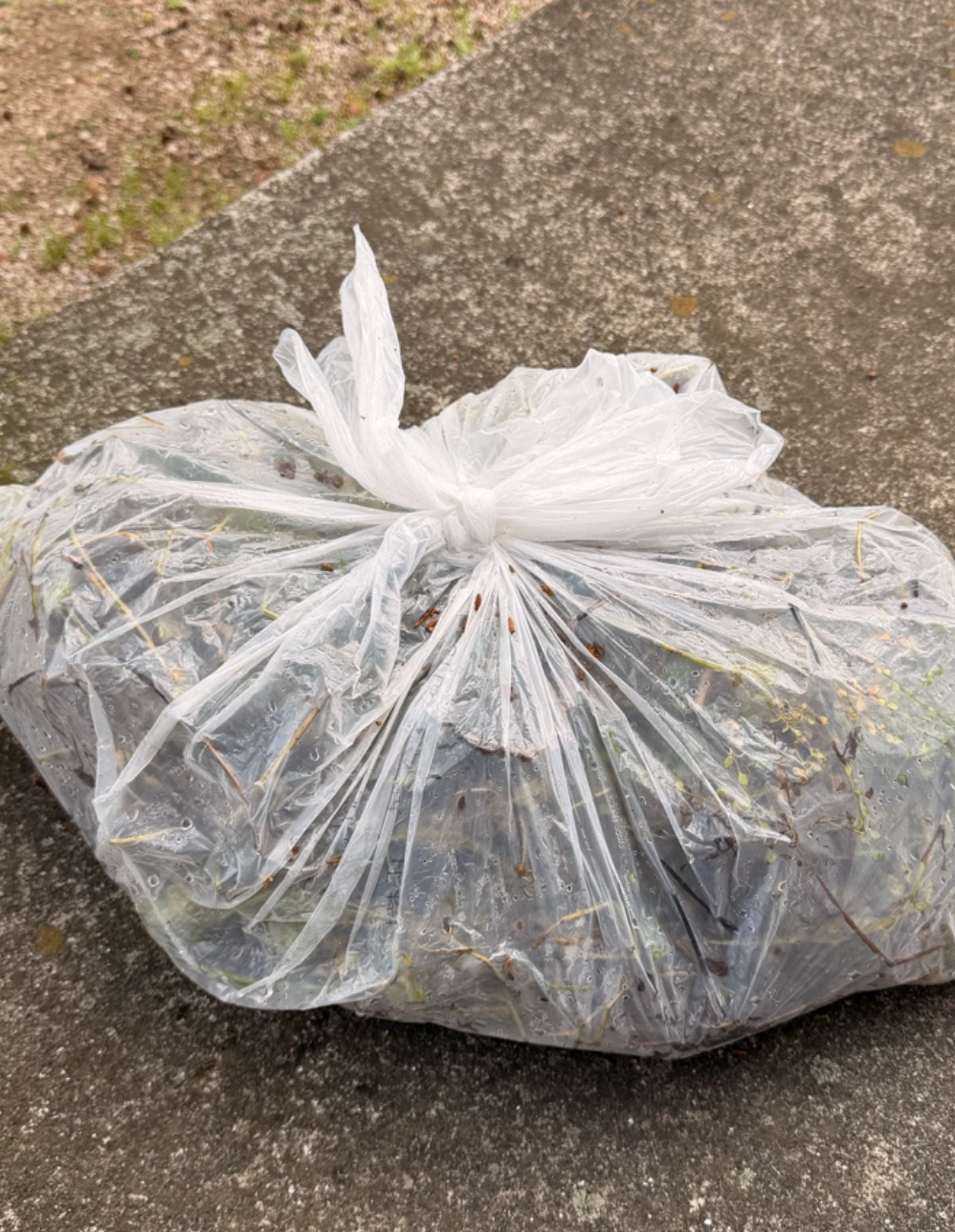 集められたゴミ袋